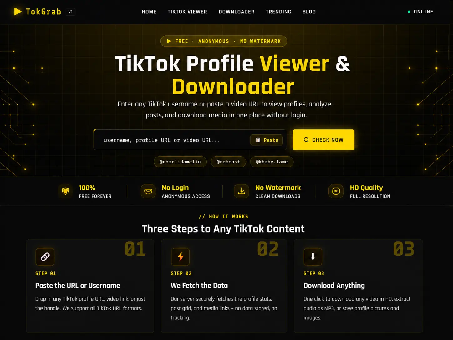 TokGrab public frontend interface